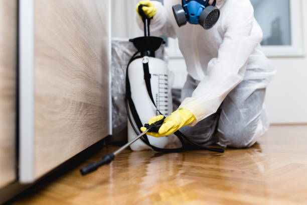 Best Mosquito Control Services  in Rensselaer, IN