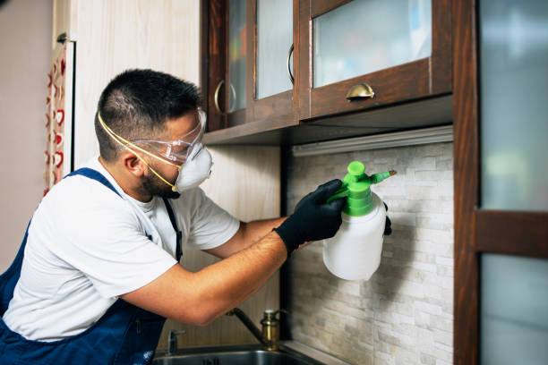 Wasp Removal Services in Rensselaer, IN