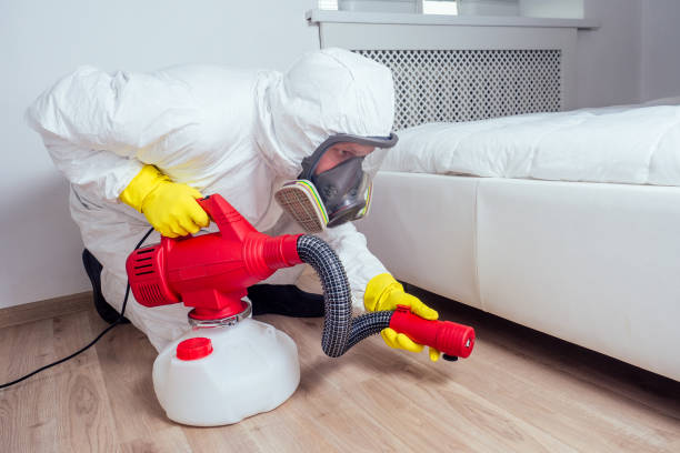 Best Wasp Removal Services  in Rensselaer, IN