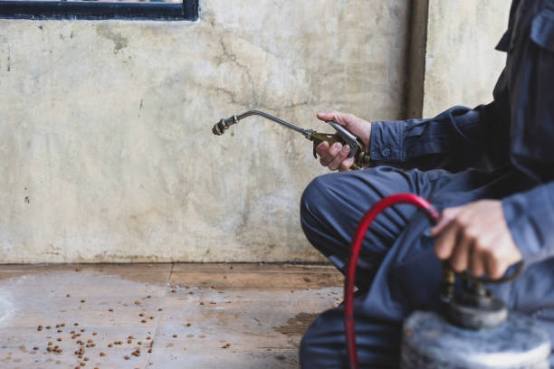 Best Pest Control Cost  in Rensselaer, IN
